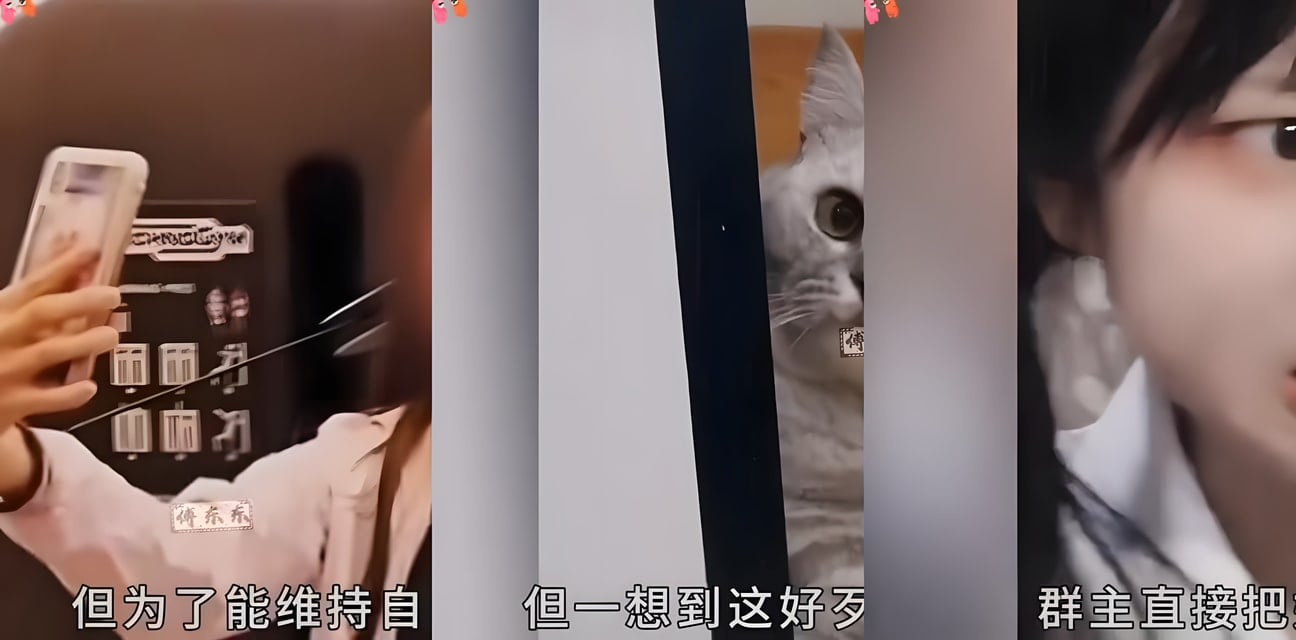 上海丝袜名媛63人拼单1800元一条！全员感染脚气内幕曝光