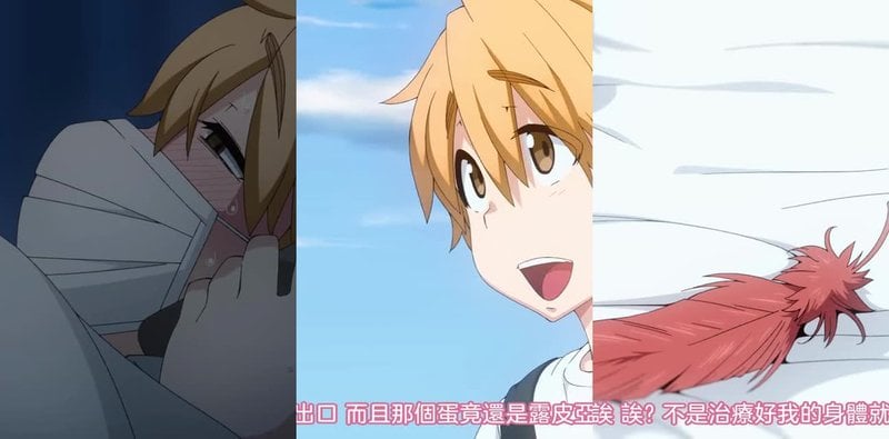 兽娘通信鸟娘露琵琶亚蛋蛋治愈少年
