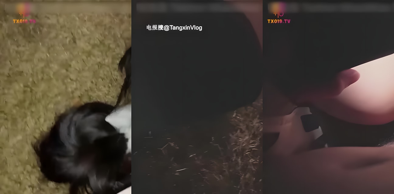 丝袜JK洛丽塔极品学生妹 甜蜜私拍狂野诱惑 全网劲爆资源