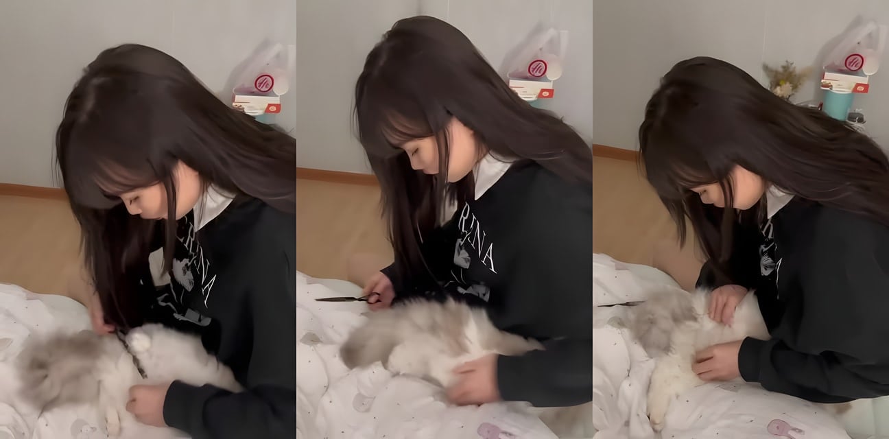 超級PUA大神專獵極品學生妹！不嫩不約全JK甜美小妹，先騙回家撸貓順勢內射嫩穴