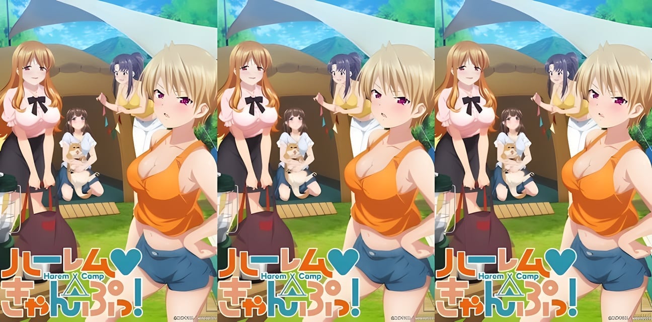 后宫露营！3 爆乳教师深夜私密分享