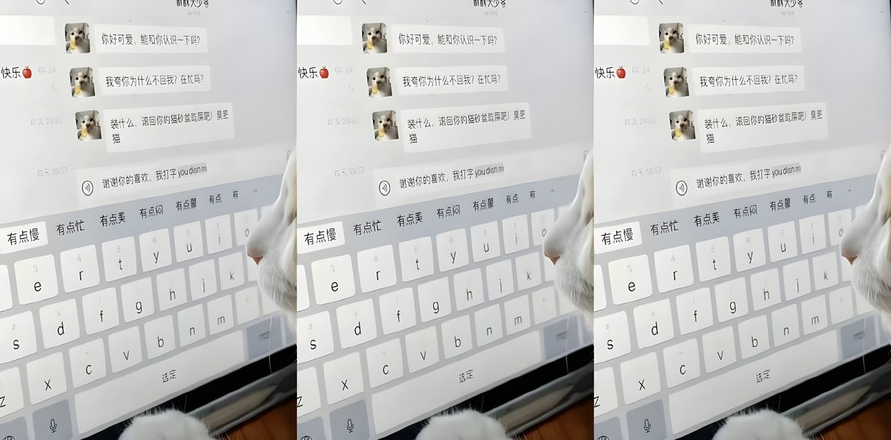 舔狗女神被猛男征服！眼淚中看著她浪叫高潮 最終淪為綠帽奴