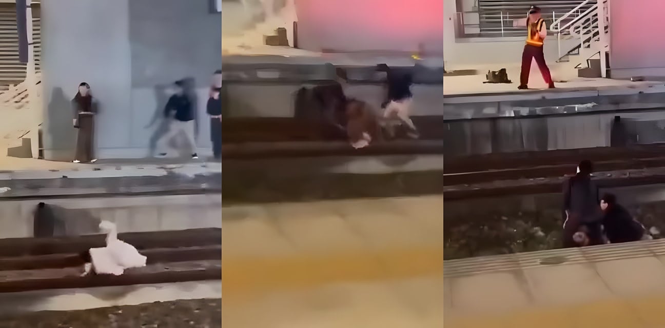 台湾21岁嫩模陷缅北杀猪盘！被骗光家产暴力催债绝望跳轨 幸被猛男英雄救下