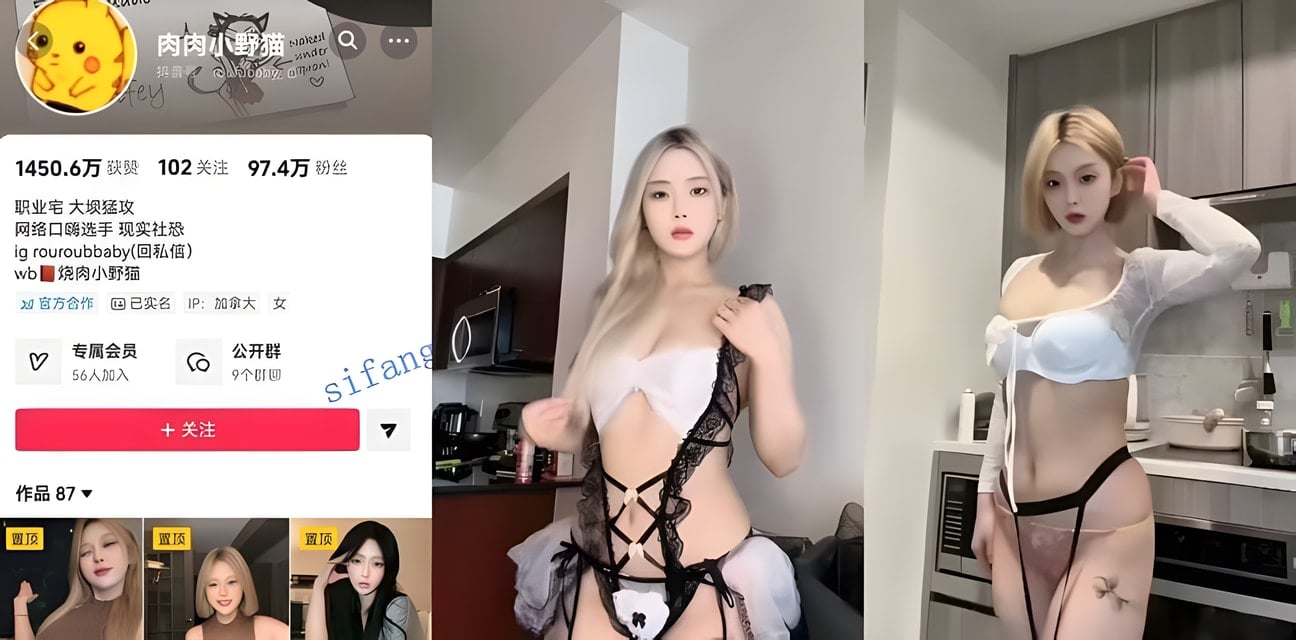 抖音百万粉丝肉肉小野猫！情趣内衣勒出阴唇露脸大尺度