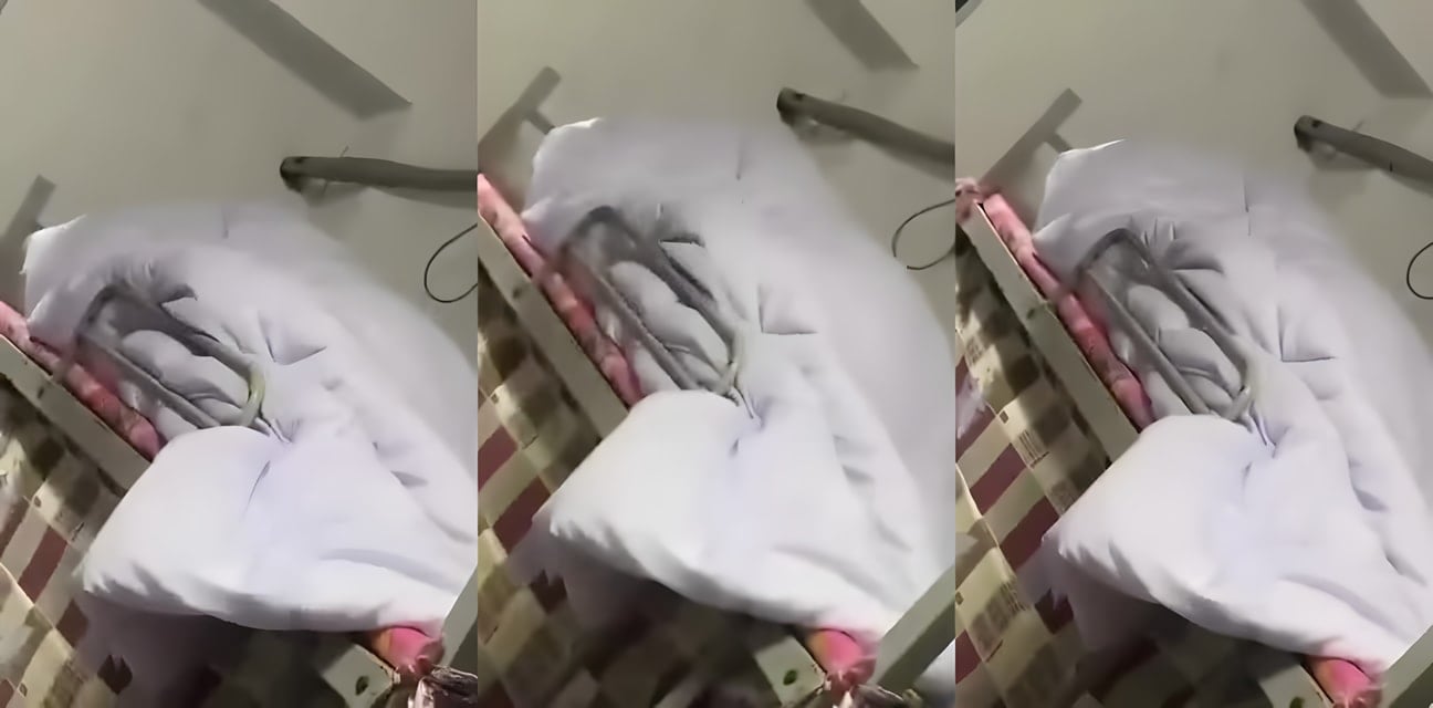 西港公司宿舍大白天劲爆！网友撞见极品学生妹被猛干 手机没电偷窥神反转