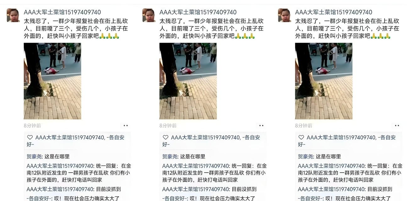 湖南耒阳街头血腥砍人监控曝光！31岁猛男若兰小学见人就砍，两死三伤惨案震惊全网！