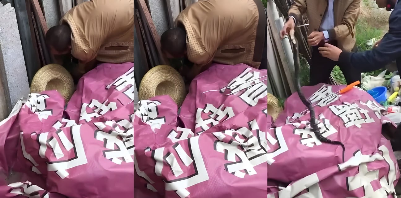 毒蛇大爷狠辣开战！今晚吃我席 床上野战狂抽猛插高潮失控