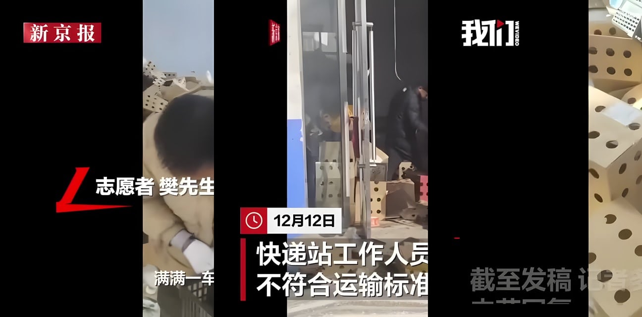 河北快递站旁惊现大批幼猫幼犬被遗弃！部分已惨死全网怒了