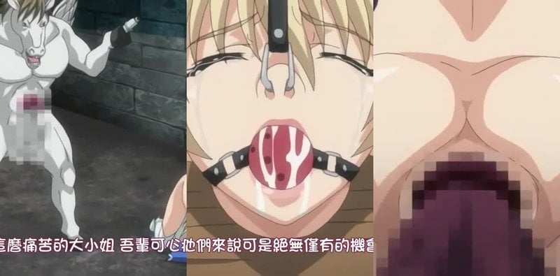 少女战机2：被玷污美神监狱禁忌