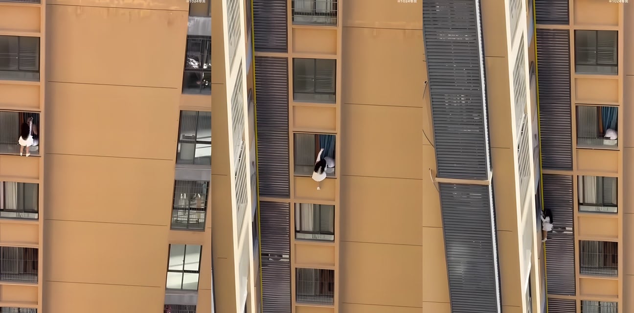 小姐姐窗沿惊魂一刻！高空失足瞬间被拍全网炸锅